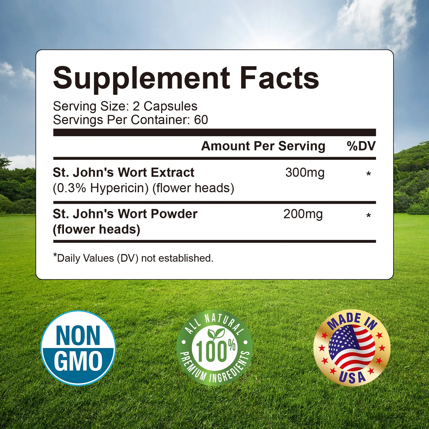 St. John's Wort 500mg - Supports Positive Mood and Promotes Brain Health