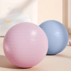 55cm Yoga Ball Big Size Sport  Fitness Gym Fitball Exercise Pilates Workout Balance Ball Reduce Weight Exercising at Home