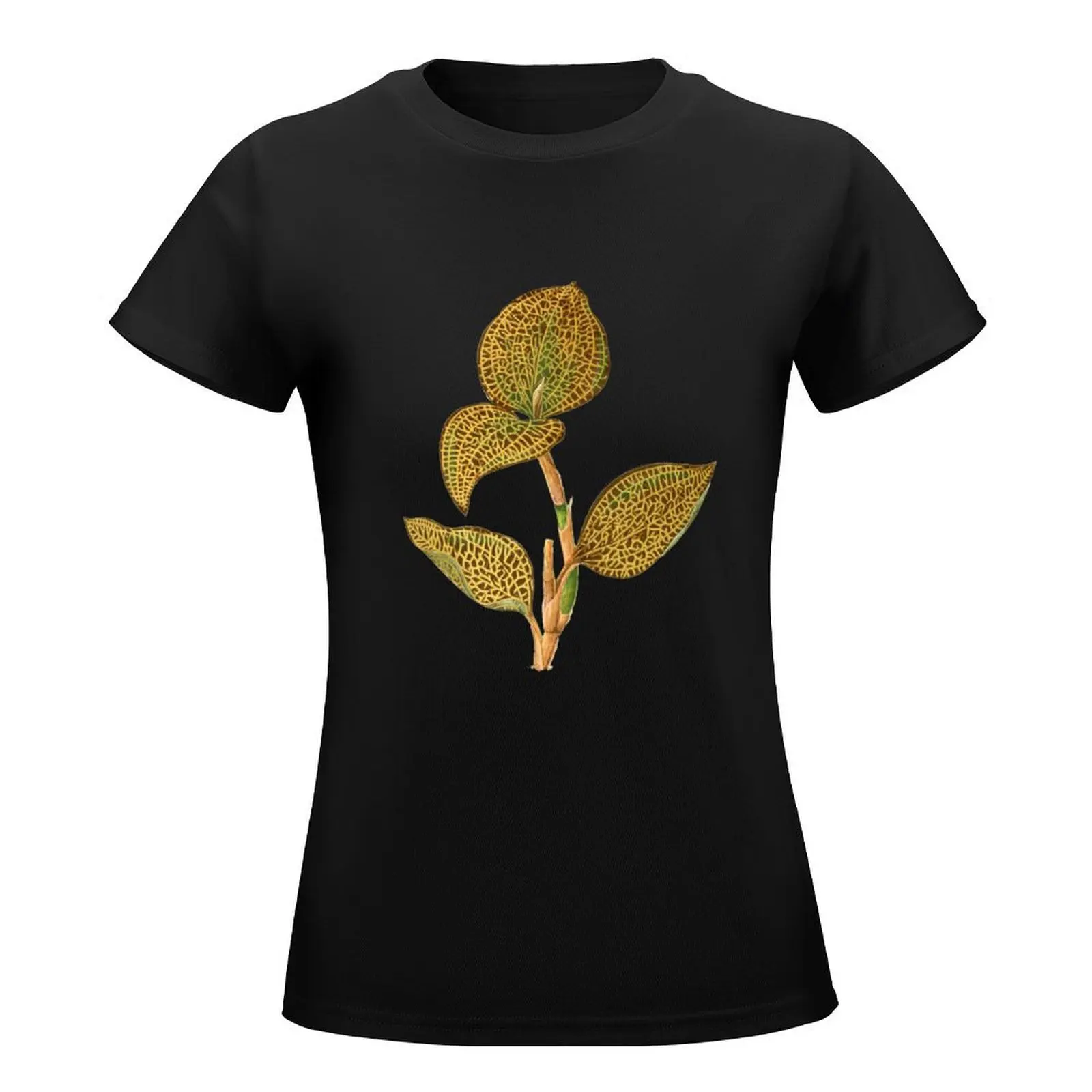 Jewel Orchid - Anoectochilus setaceus - Rothschild T-Shirt anime blanks sports fans Woman clothing