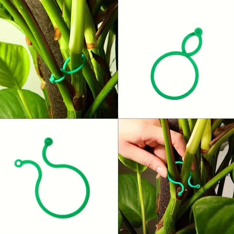 50/100/200/300Pcs 8-Shape Plant Clips for Vine Fixing, Sturdy Unbreakable Supports for Grape Tomato Cucumber