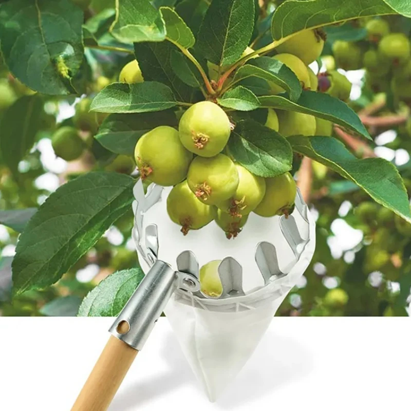 

Metal Fruit Picker Fruit Catcher High Tree Picking Tools Orchard Gardening Peach Collection Pouch Farm Garden Tools