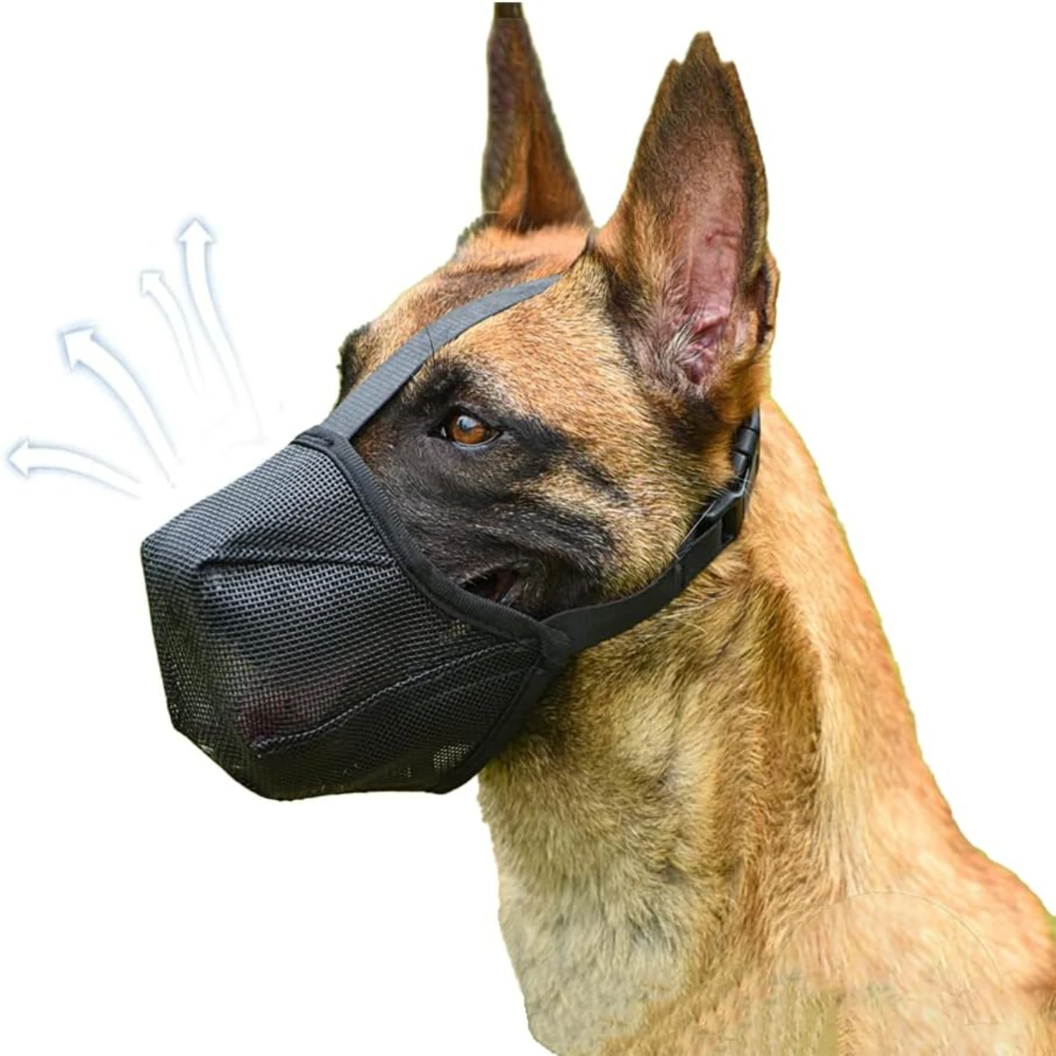 Comfortable, durable, and reliable medium-sized dog muzzle - promotes peaceful training and safe walks for all breeds and sizes