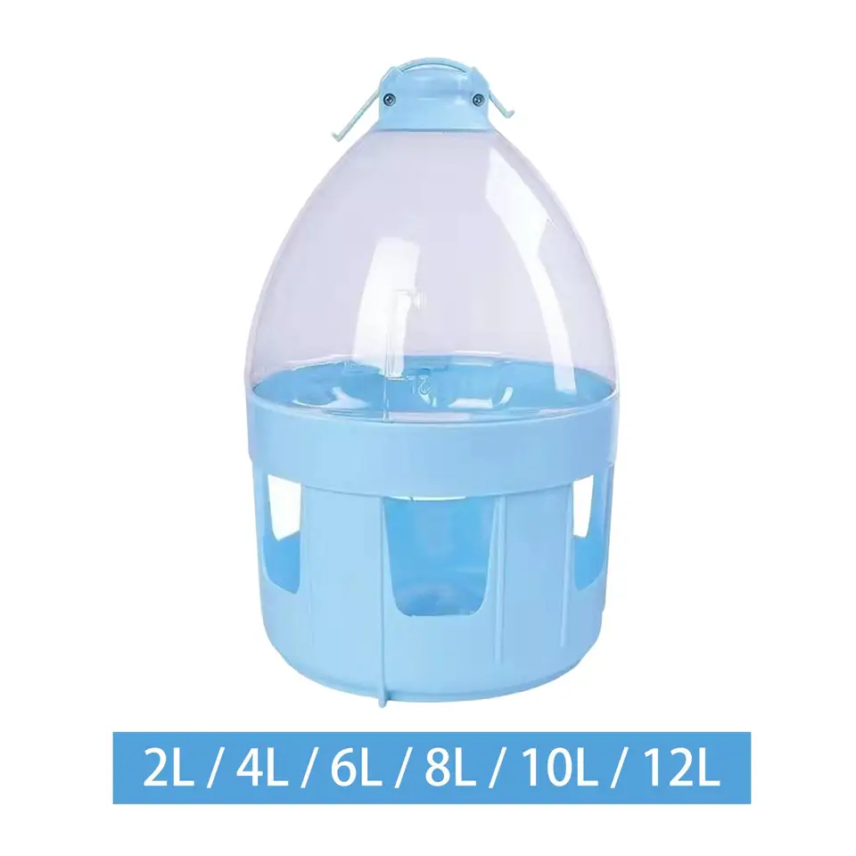Bebedero Automático Para Aves Y Palomas: Agua Fresca Siempre Disponible Sin Esfuerzo