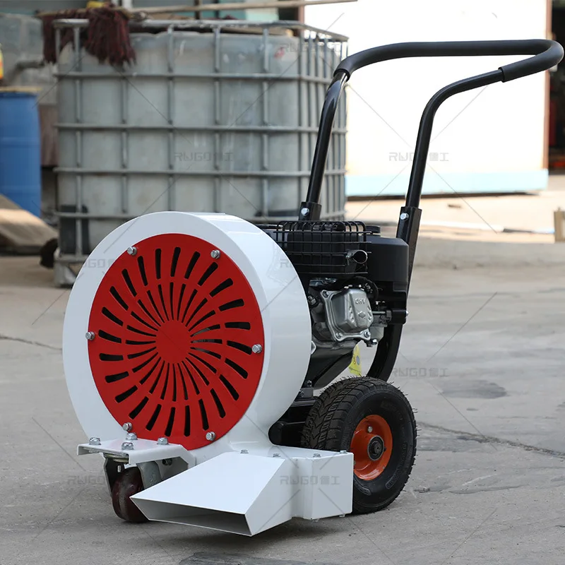 Handschiebendes Pflastergebläse, Laubbläser