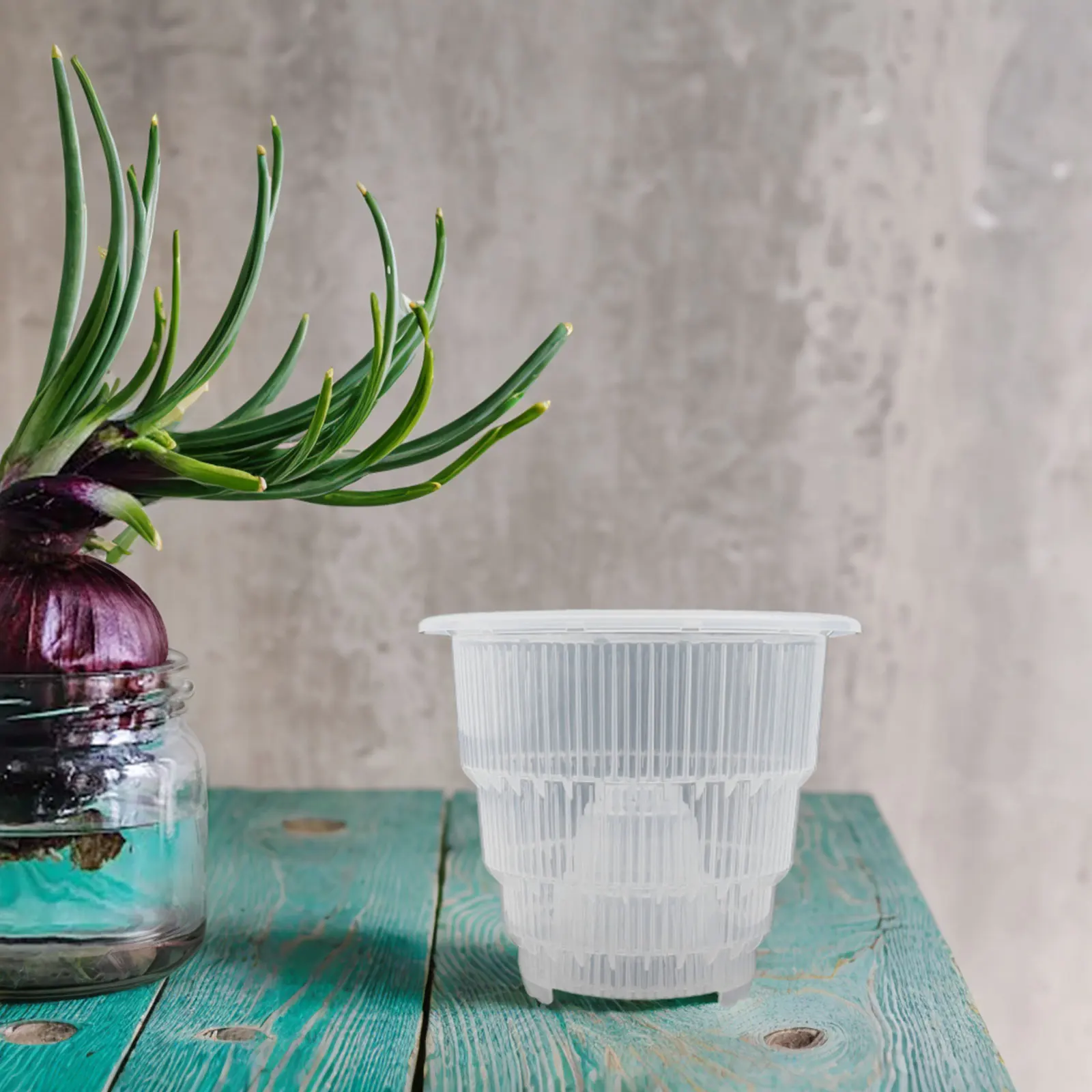 Resin Mesh Orchid Container with Patented Root Guide and Ventilation Features for Improved Drainage and Root Health in Gardening