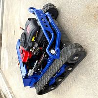 Customized Cheap Wholesale Riding Automatic zero Turn Crawler Grass Cutter Remote Control Lawn Mower for Garden
