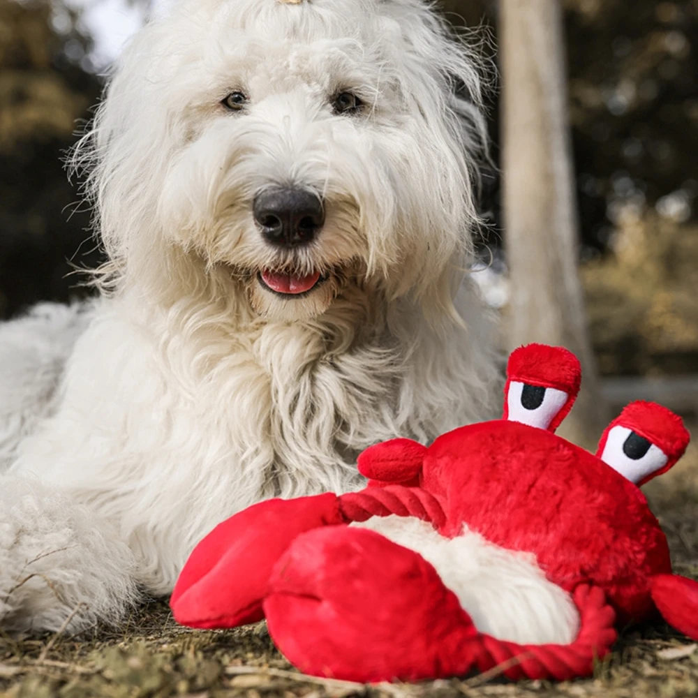 

Pet Toy Big Crab Stuffed Knot Chew Sound Drag Interactive Throwing Consuming Physical Energy Dog Toy