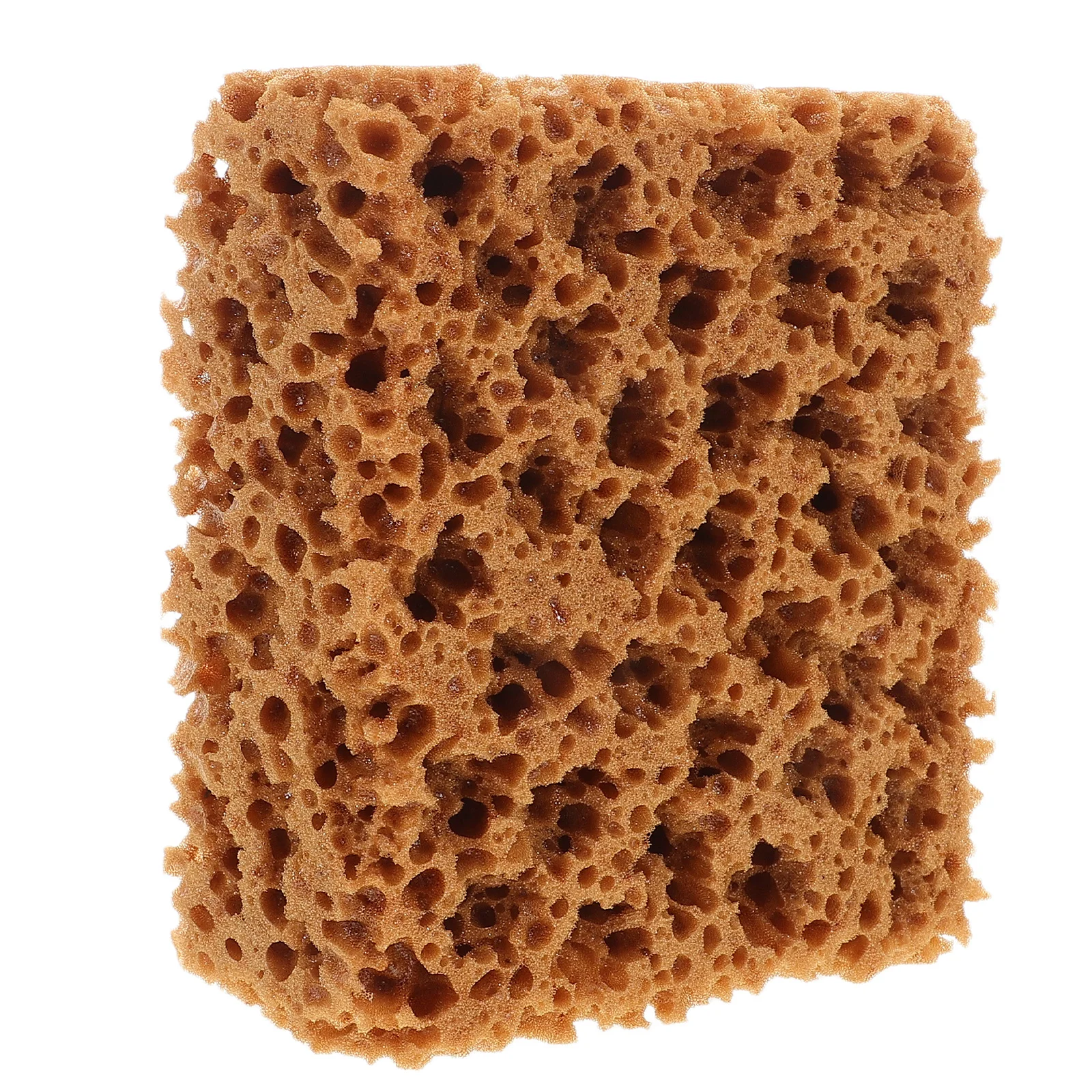 

Seaweed Imitation Sponge for Painting Texture Art Craft Projects Soft Reusable Natural Sea Sponge for Artists Kids DIY Wall