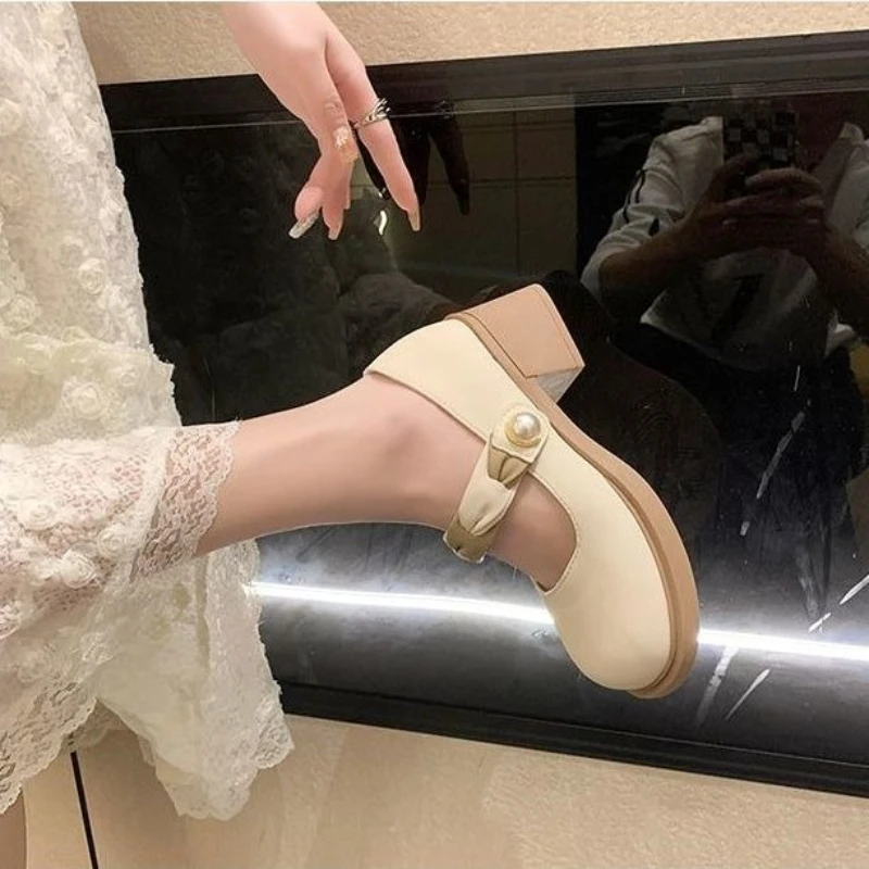 

Fairycore Mary Jane Shoes 2026 Spring Autumn New Style Platform Heels Women's Casual Dress Pumps