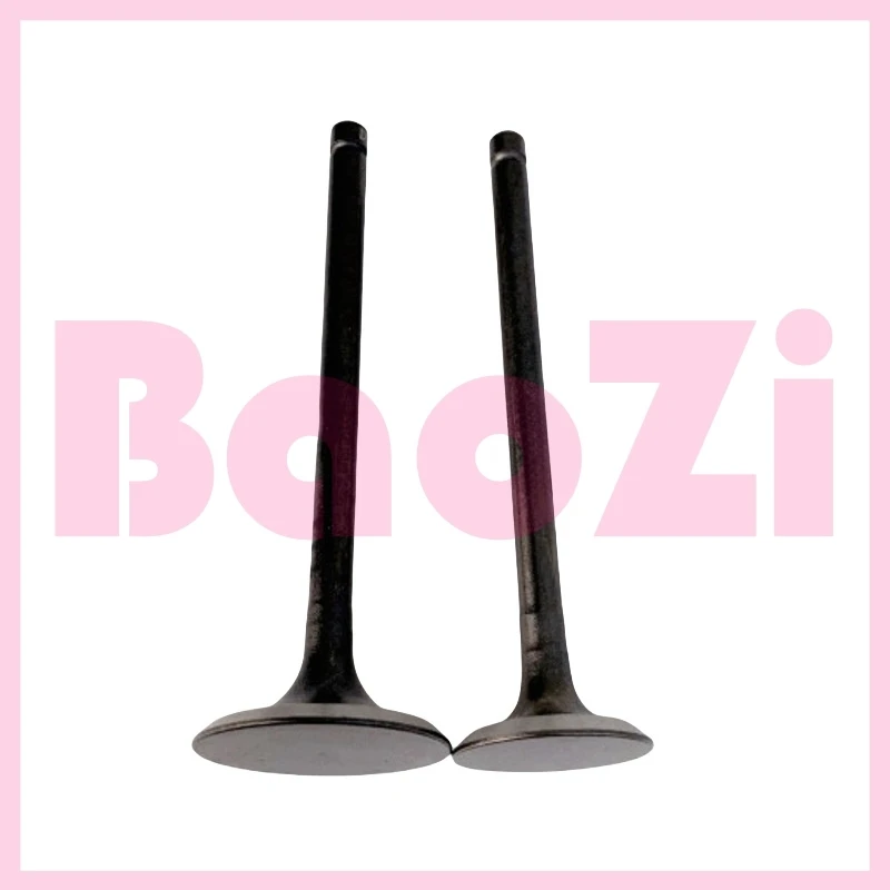 Intake and Exhaust Valves for Piaggio Byq150t-5f Sr Efi