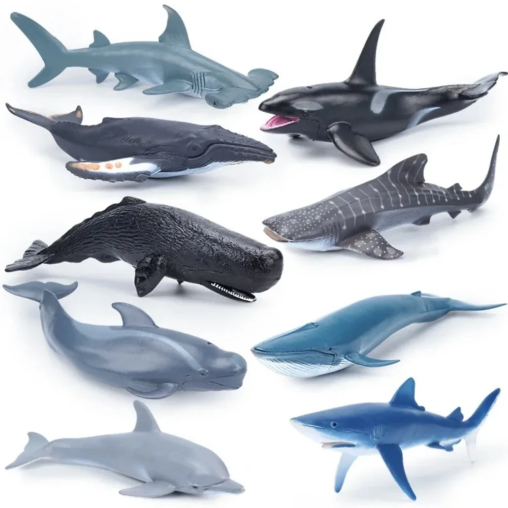 Ocean Animals Action Figures Sealife Shark Whare Megalodon Model Figurines PVC Home Decoration Kid Cognitive Education Toy