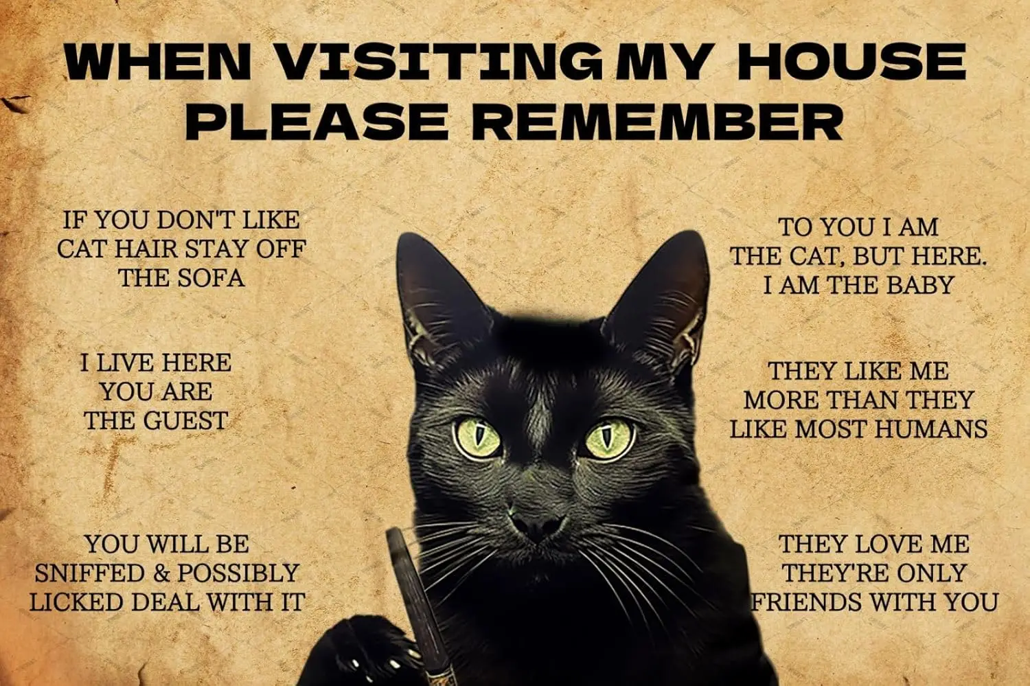 Black Cat Metal Tin Sign When Visiting My House Please Remember Black Cats Signs Gifts for Cat Lovers