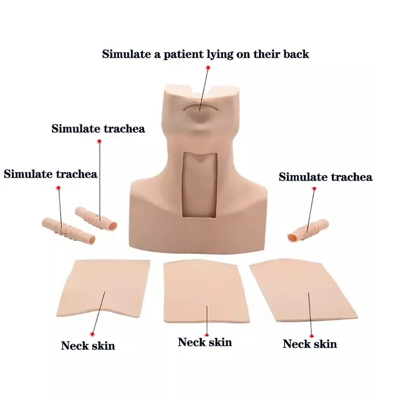 Thyrocricocentesis Tracheostomy Simulator,Cricoid Puncture And Tracheal Intubation Training Model