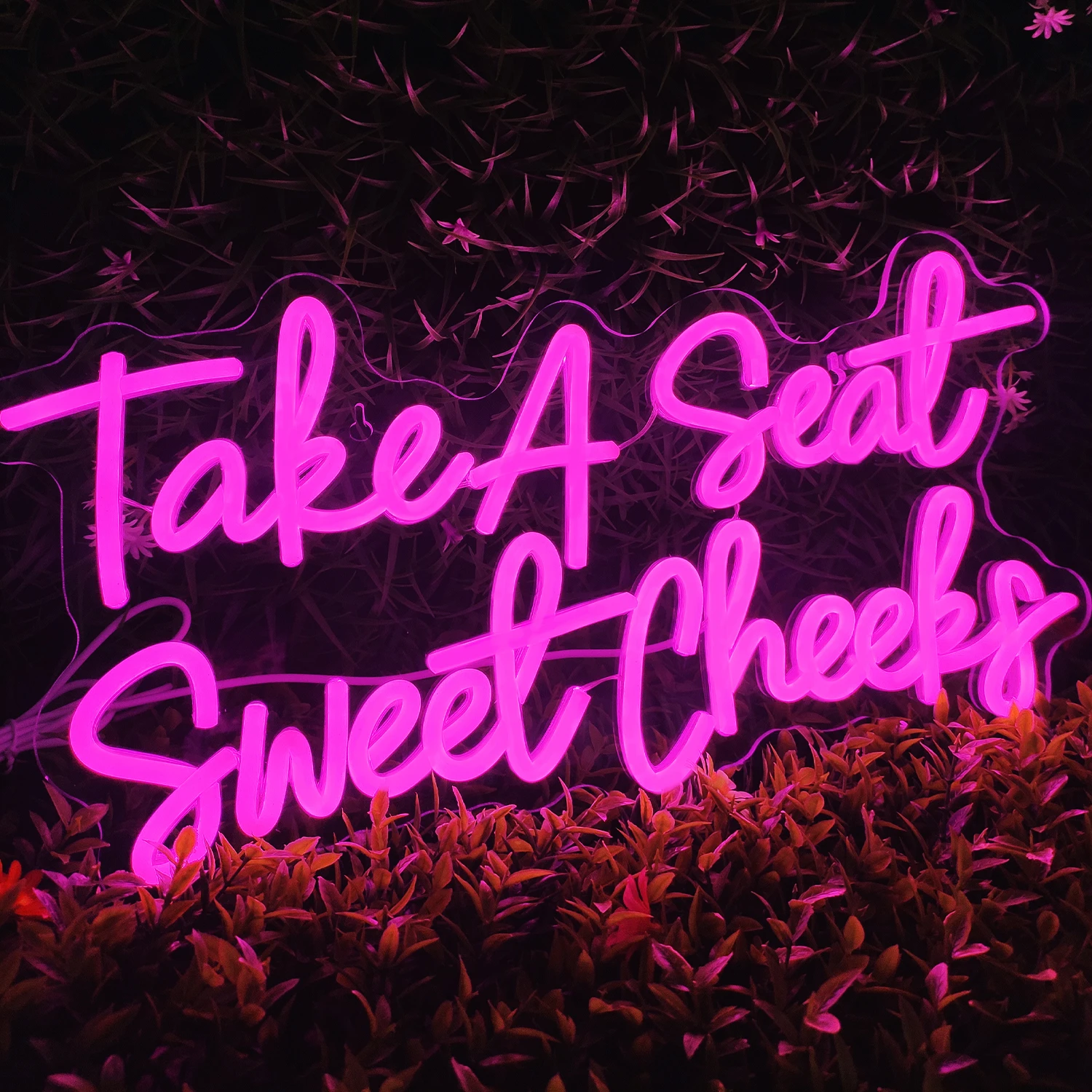 Take A Seat Sweet Cheeks Neon Light LED Neon Sign for Wall Deco Glass Shaped for Bar Restaurant Party Shop Window Store for Cafe