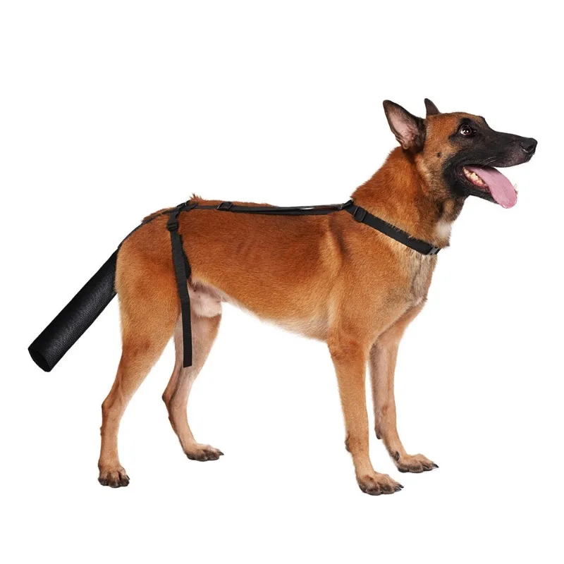 Pet dog tail protective cover Injury hair loss Beauty treatment Anti-licking and biting Adjustable protective gear