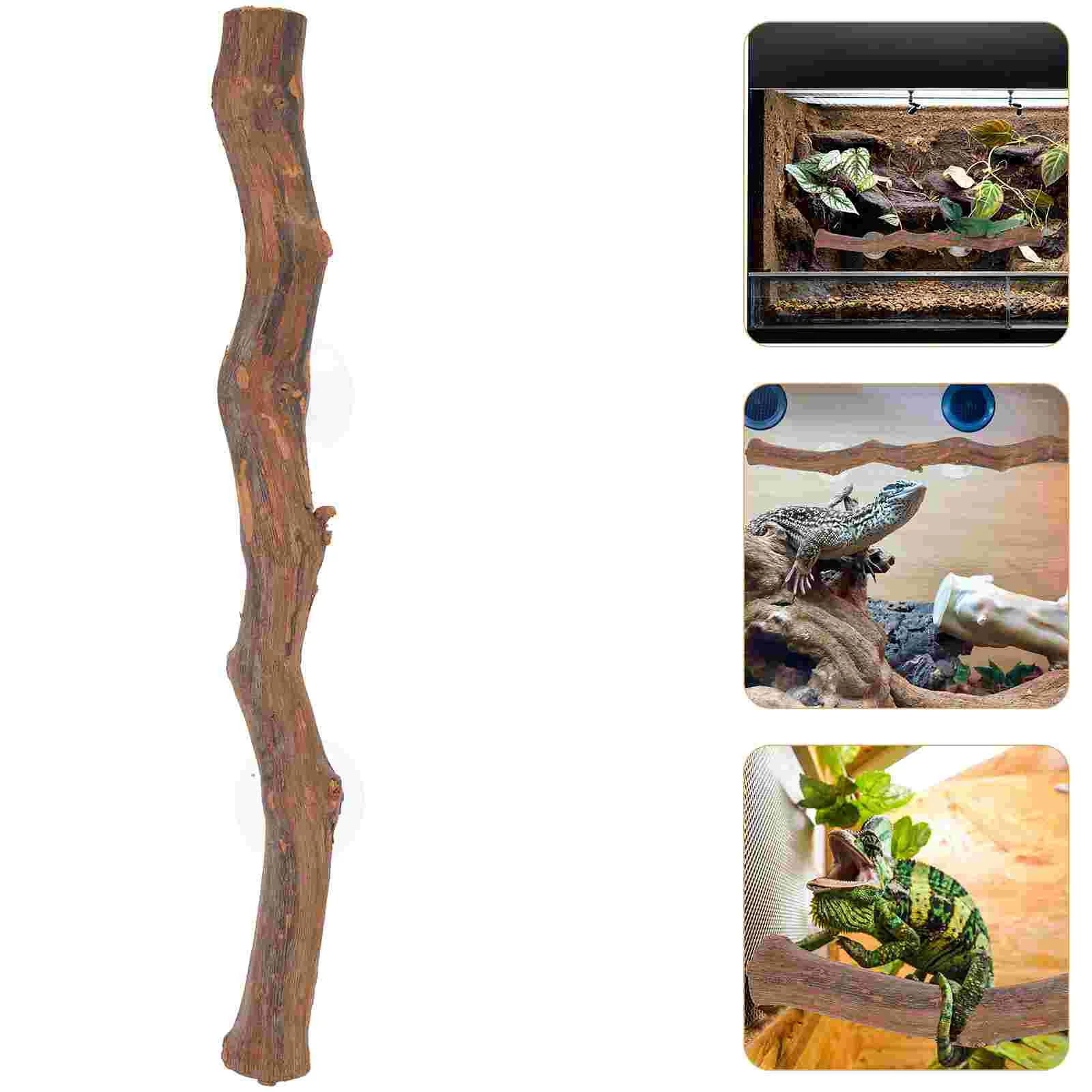 Snakes Branch Lizard Pet Stand Animal Wooden Toy Leopard Print Gecko Cage Reptile