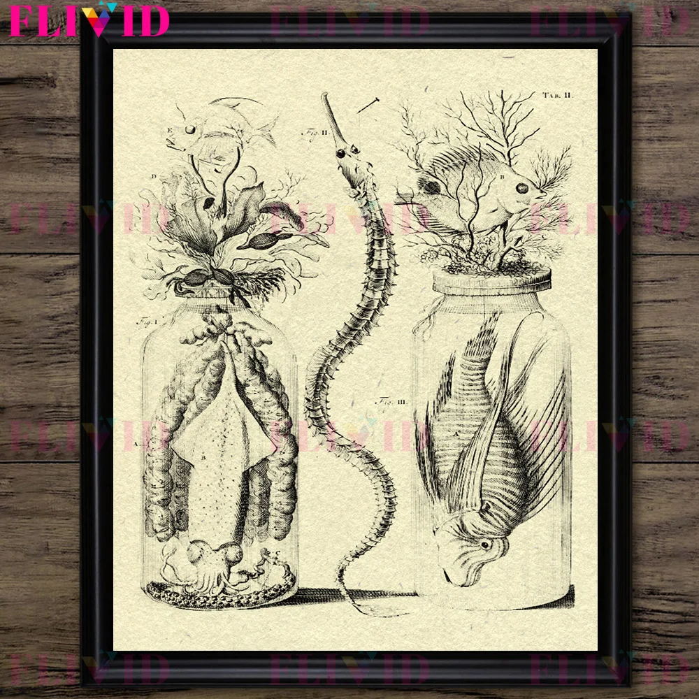 Squid,Seahorse And Toad In A Bottle,Vintage Wall Art Canvas Painting,Venomous Snake Dissection Specimen Poster Print Decoration
