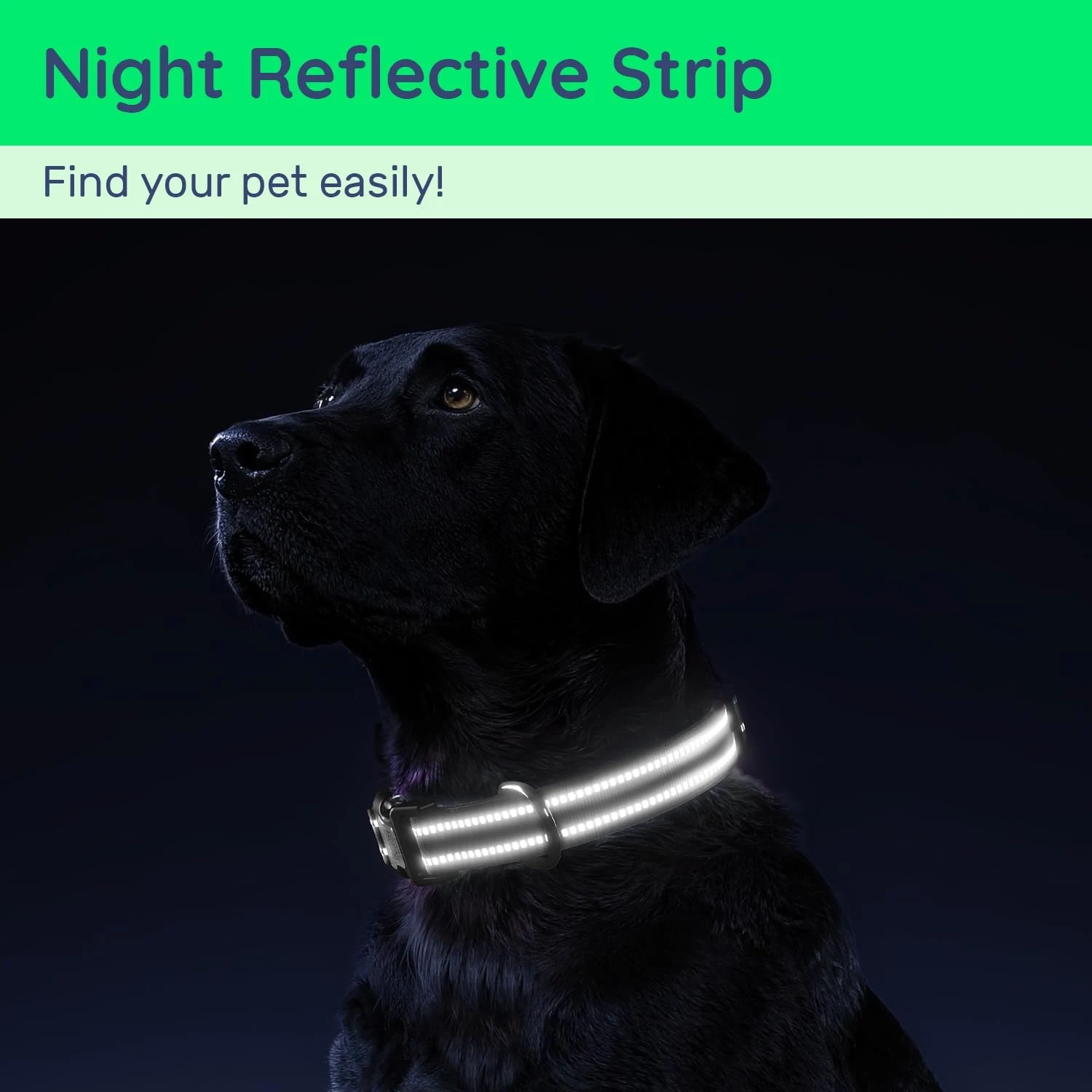 Thumbnail 4 - #61 Pet Collars List of Top Picks