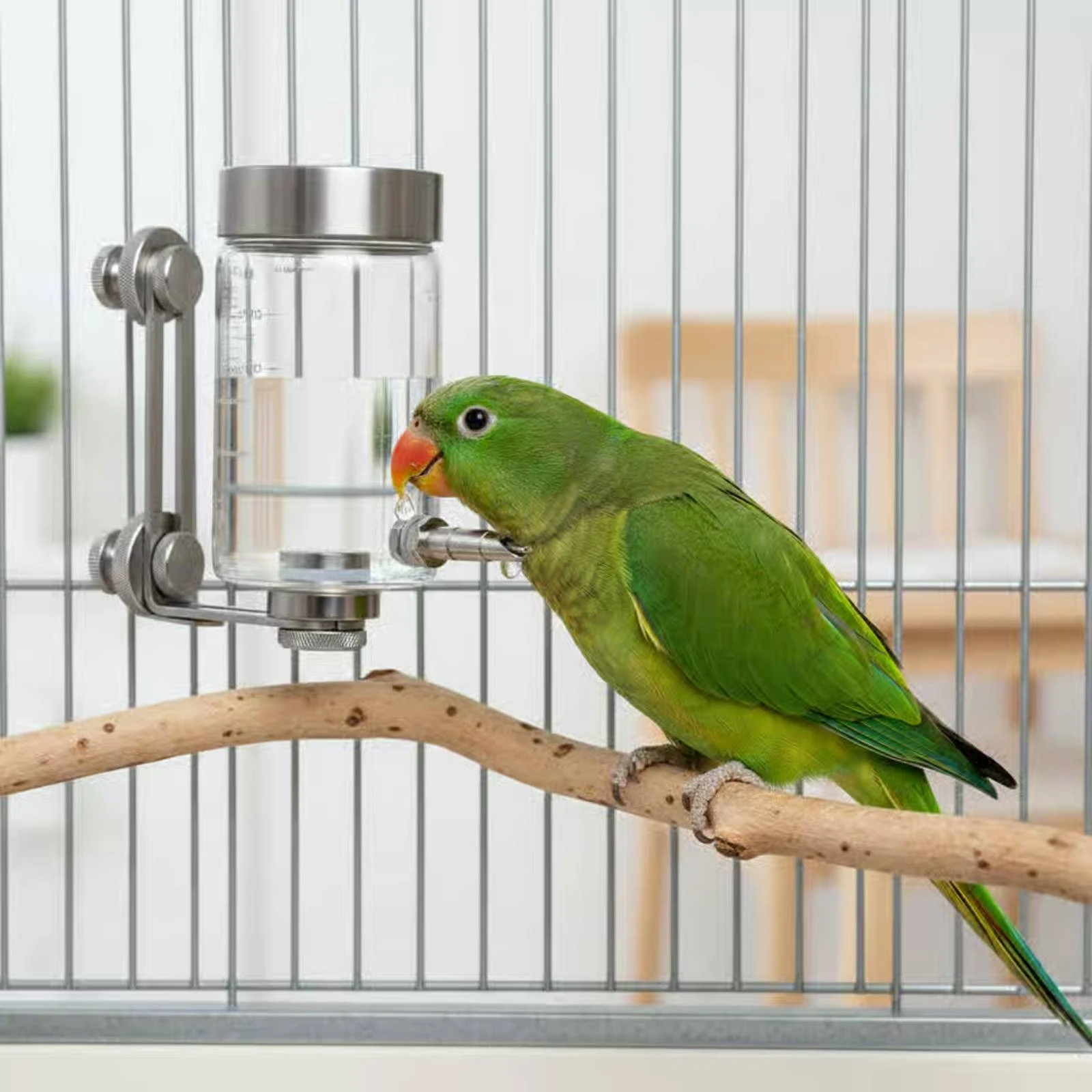 Vogeltränke mit Klebemontage,  – Pet Supplies In Bewertung und Preis
