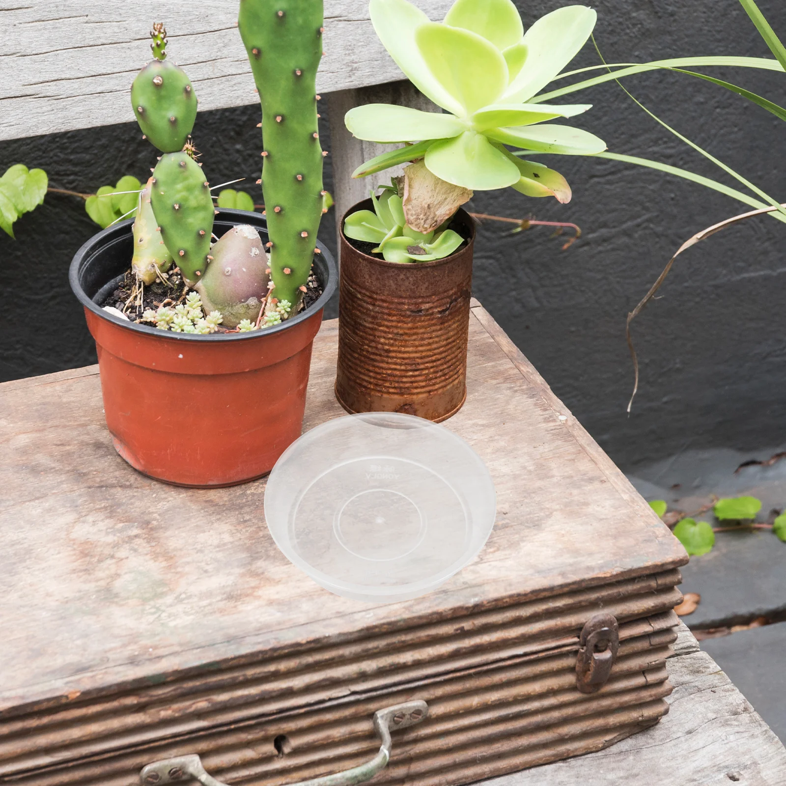 

10Pcs Plastic Plant Tray Clear Round Flower Pot Saucers Stable Base Catch Water for Pots Indoor Outdoor Flower Pot Tray