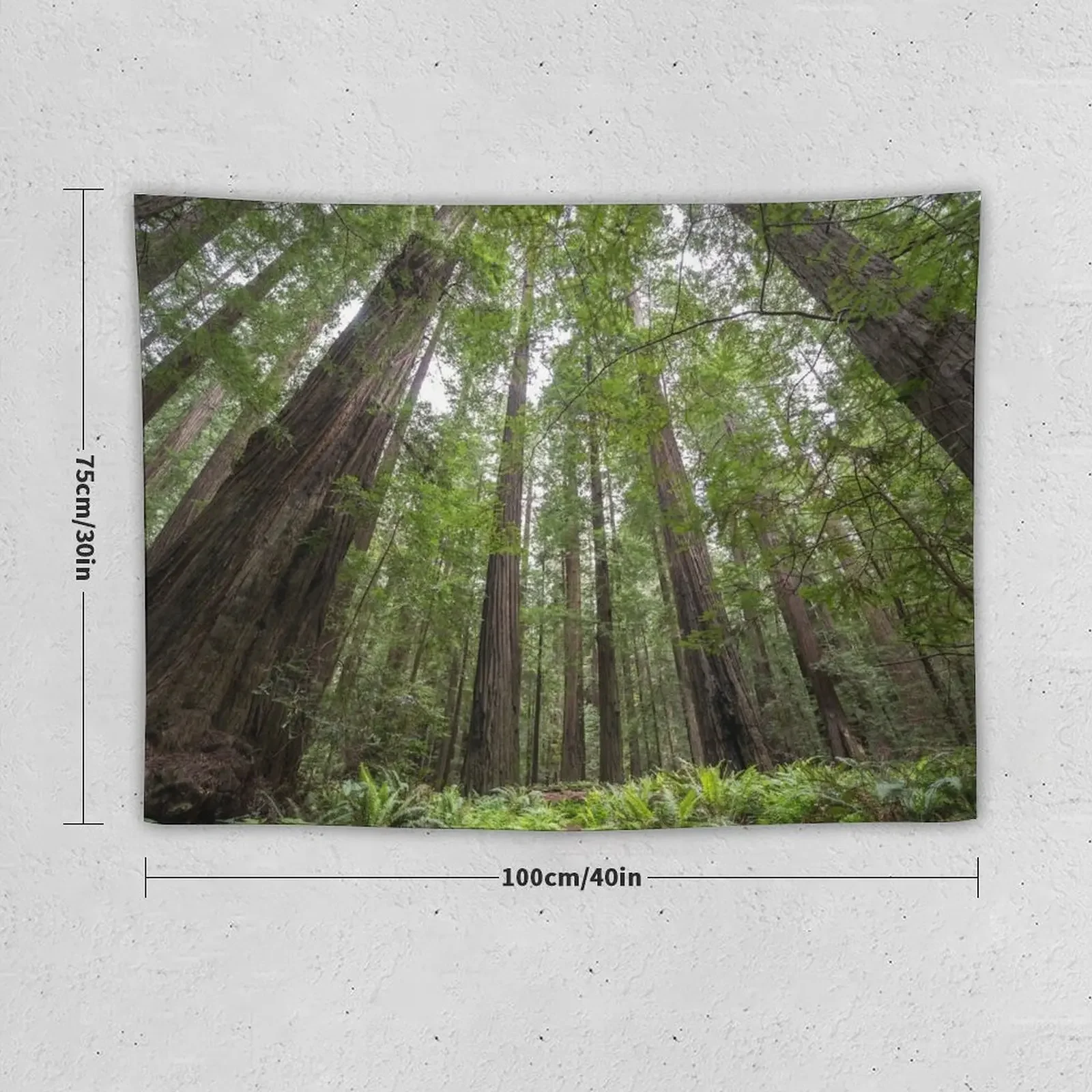 Redwoods Tapestry Room Ornaments Bed Room Decoration Carpet Wall On The Wall Tapestry