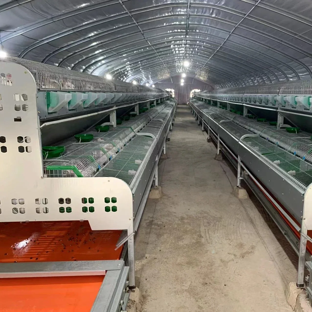 Factory direct sale 24 rooms   European style rbit cage meat rbit cage