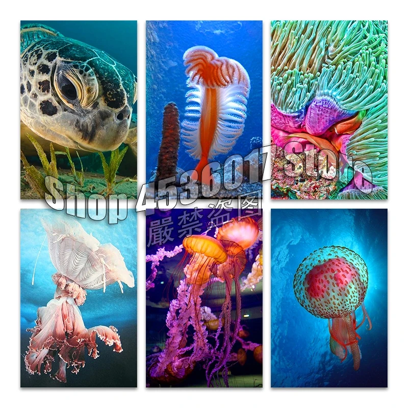 Marine life 5d Diy Diamond Painting Cross Stitch Diamond Embroidery Turtle and jellyfish Mosaic Full Rhinestone Gifts Picture