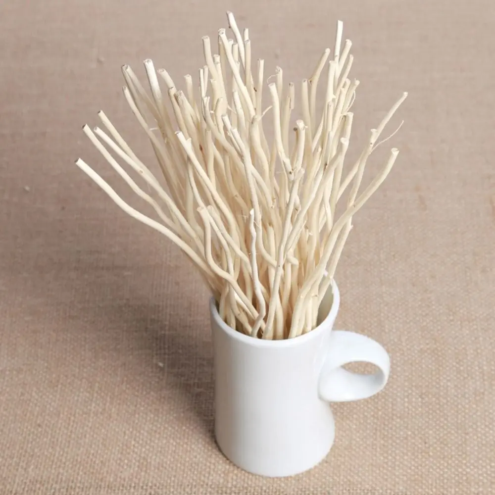 Natural Willow Branch for Reed Diffuser Aroma Rattan Sticks Home Fragrance Replacement Sticks