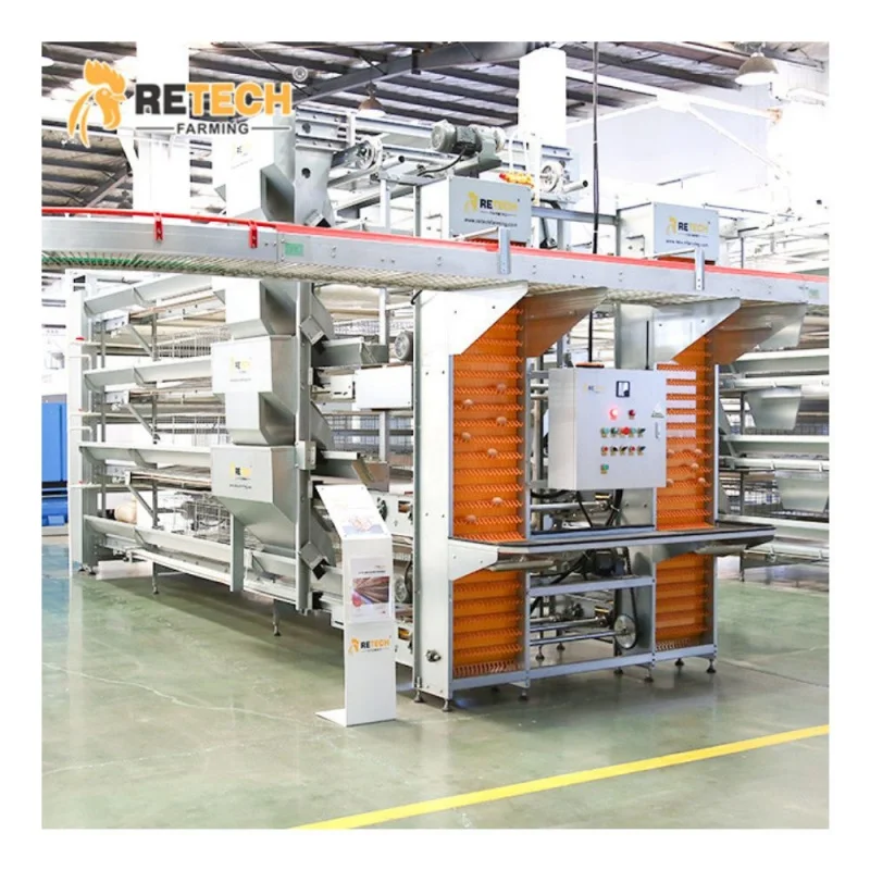 

High Quality H Type Poultry Cages Sale Chicken Layer Cage