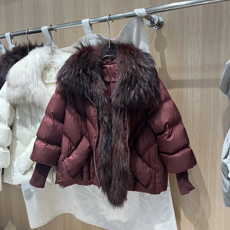 شتاء جديد فاخر الراكون الفراء طوق قصيرة أسفل سترة المرأة فضفاضة سميكة الدافئة فو الفراء معطف #4