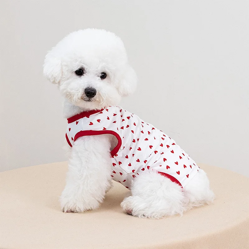 

Dog Clothes Puppy None Dt055 Lazada Xl l Dog Vests Dachshund On Sale