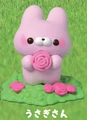 pink rabbit rose