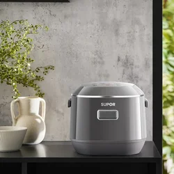 DK138: 2L Mini Rice Cooker, Stainless Steel NonCoating Pot, Compact Electric Cooker for 12 People, MultiFunction Smart