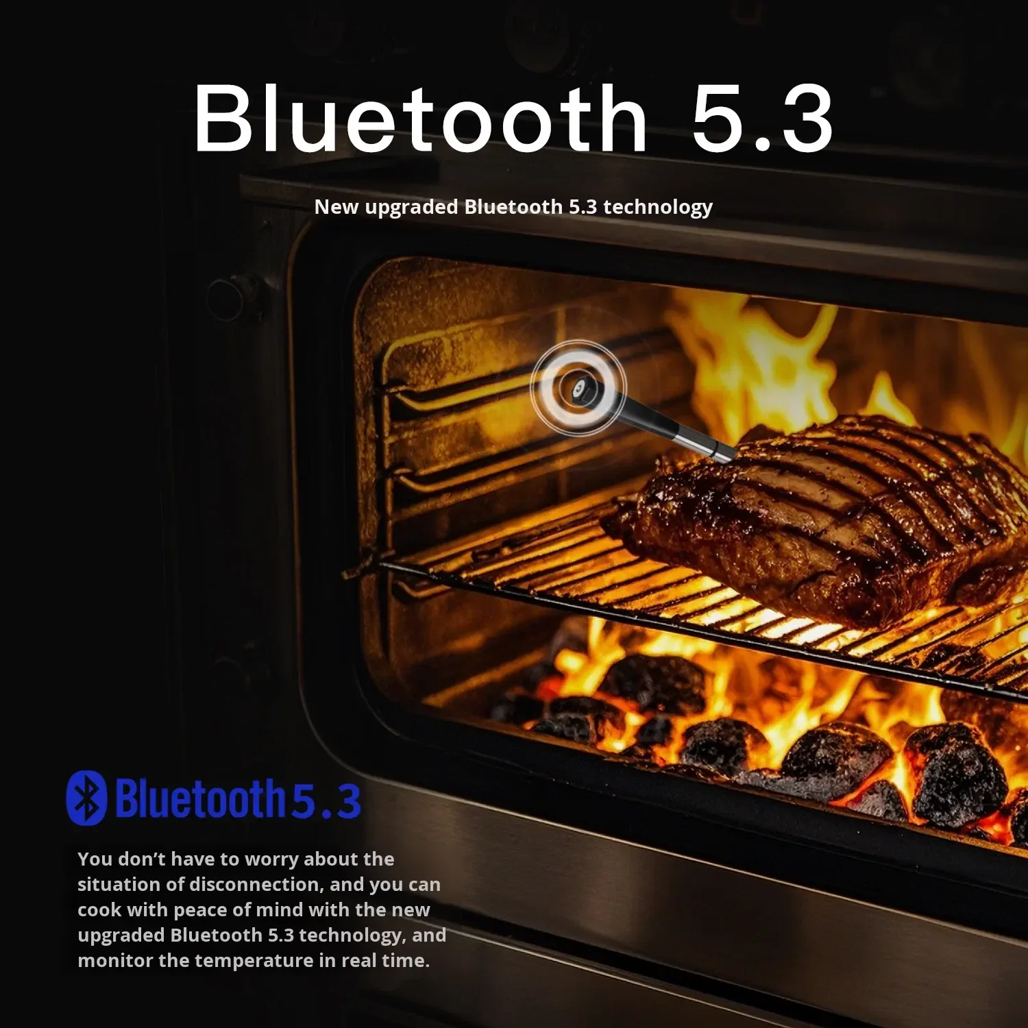 Meat Electronic Thermometer Dual Probe Wireless Bluetooth Barbecue Thermometer For Roast Beef Steak
