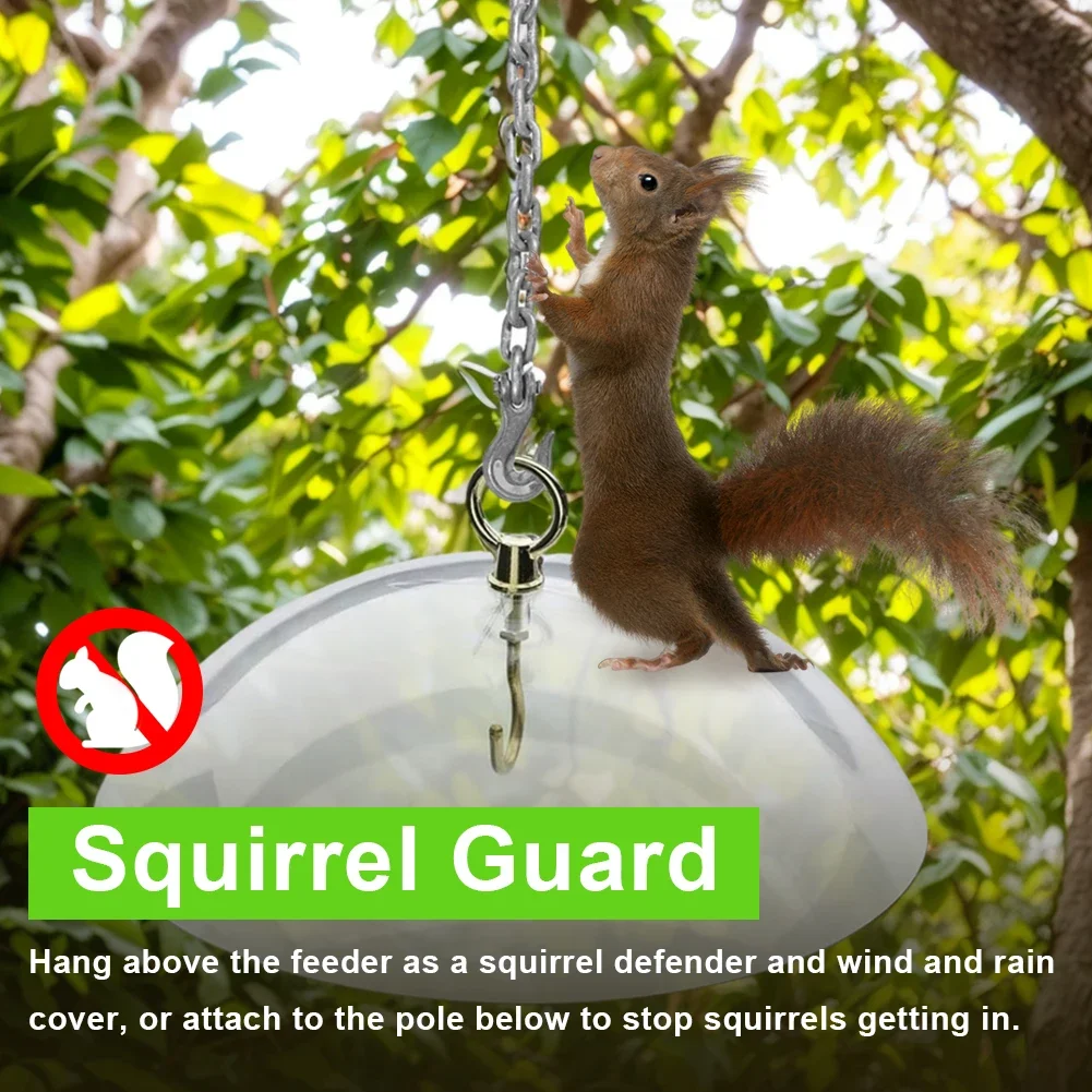 Thumbnail 4 - #7 Trending Squirrel Feeders Right Now