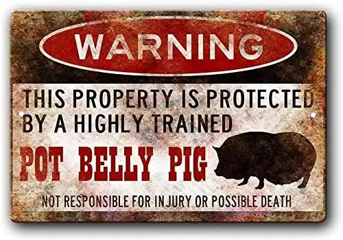 Pot Belly Pig Sign,Funny Metal Signs,Pot Bellied Pig,Pot Belly Pig,Pig Warning Sign Metal Sign 12 X 16 Inches