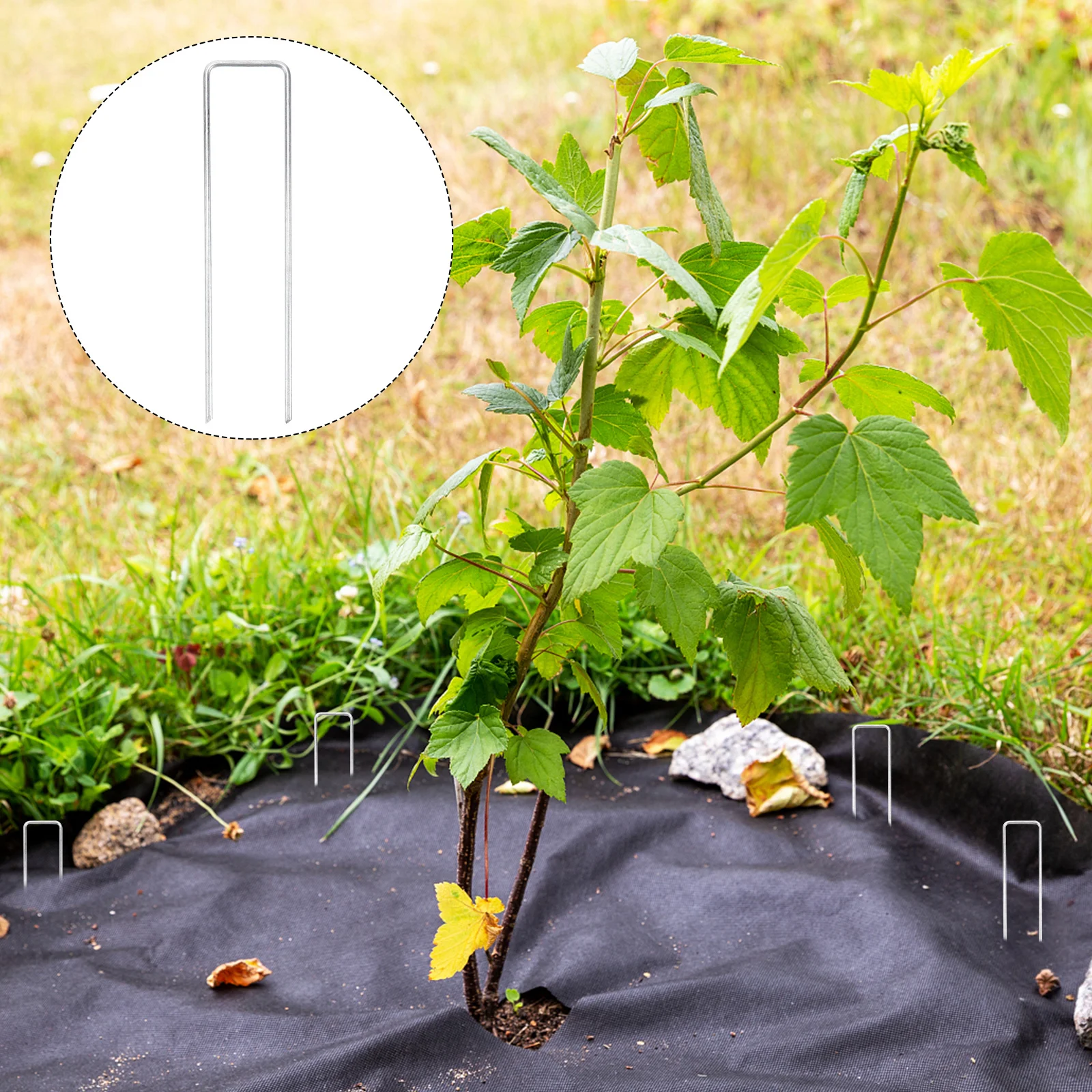 

20pcs U Shape Nail Landscape Stakes Pins Garden Staples Steel Landscaping Anchor Pegs Rust Resistant Lightweight For Tents Tarps