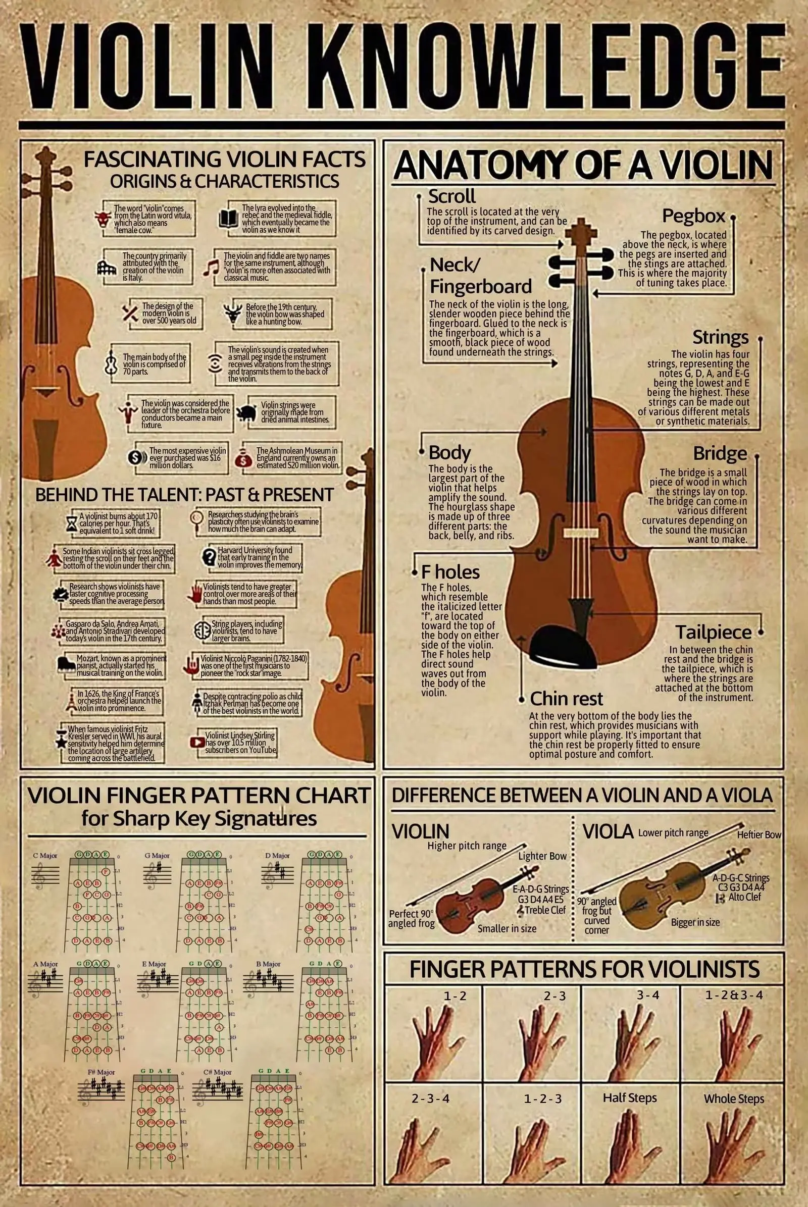 Violin Knowledge Metal Tin Sign Anatomy Of Violin Retro Poster Music Hall Opera Bar School Education Living Room Bathroom K sign