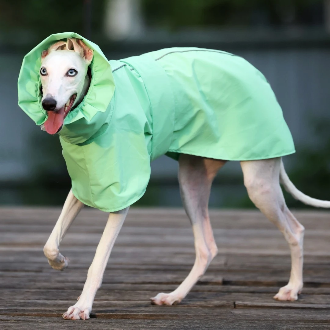 Einfarbiger Regenmantel für Italienische Windhunde und Whippets im Frühling und Sommer, Leichte, Taillenverstellbare, Winddichte Jacke für Hunde – Detail 7