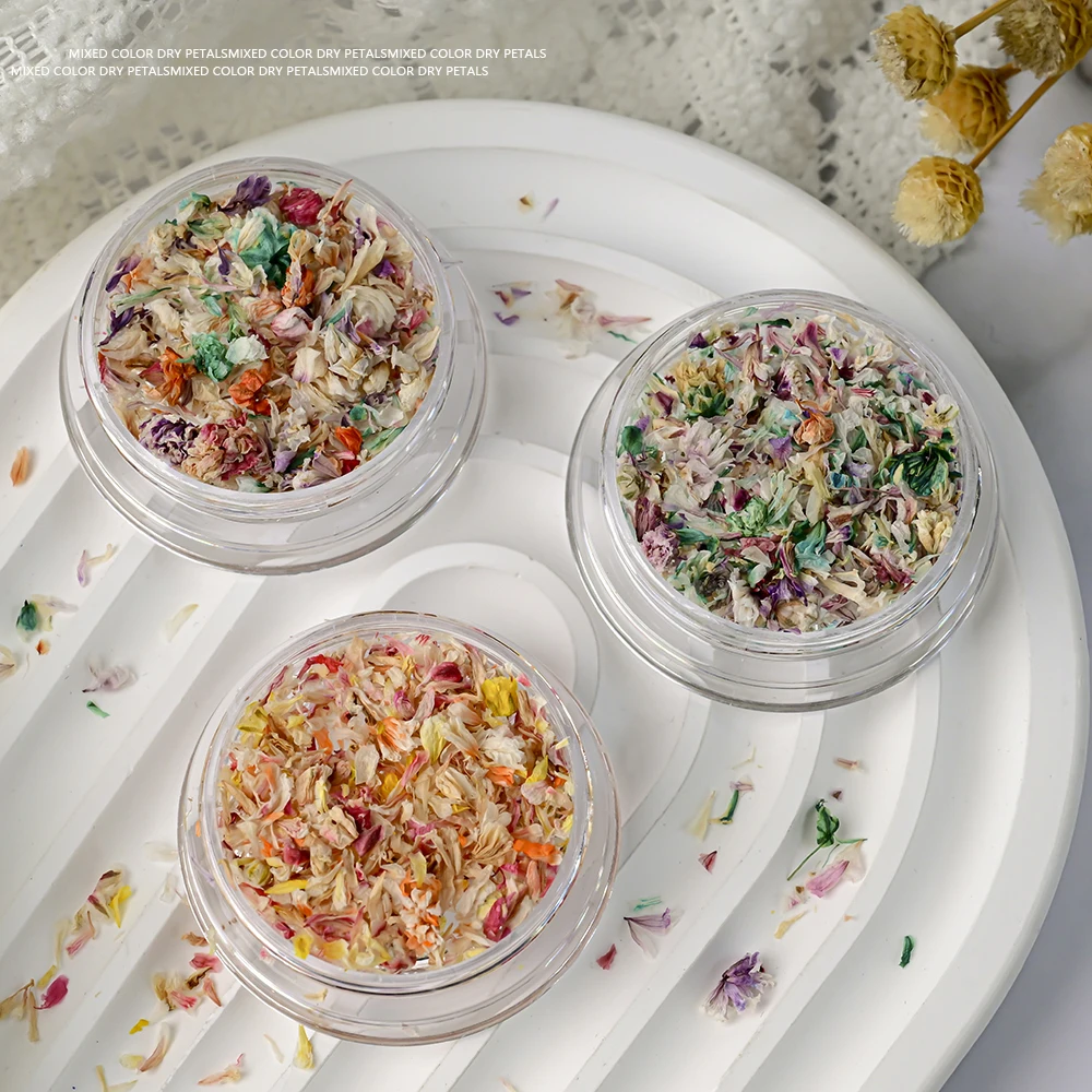 Summer Dried Flower Nail Art Decoration 3D Natural Real Floral Sticker UV Polish Pressed Flowers Crushed Accessory Jewelry Decal