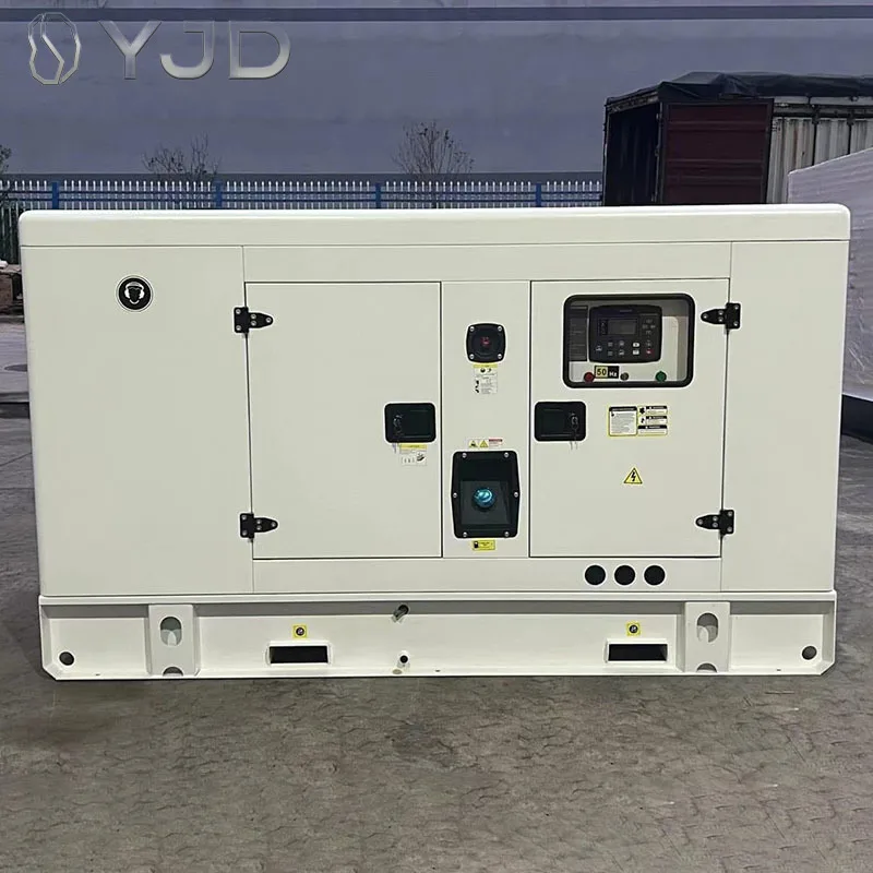 Silent Diesel Generator with ATS Option 20kva 30kva 50kva 50/60Hz AC 3 Phase Brushless Diesel Genset in 30kw 40kw 50kw for Sale