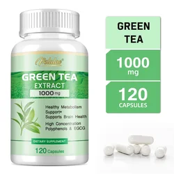 Green Tea Extract - with 98% Polyphenols, 50% EGCG - Natural Energy Support,Detox Metabolic Booster, Fat Burning