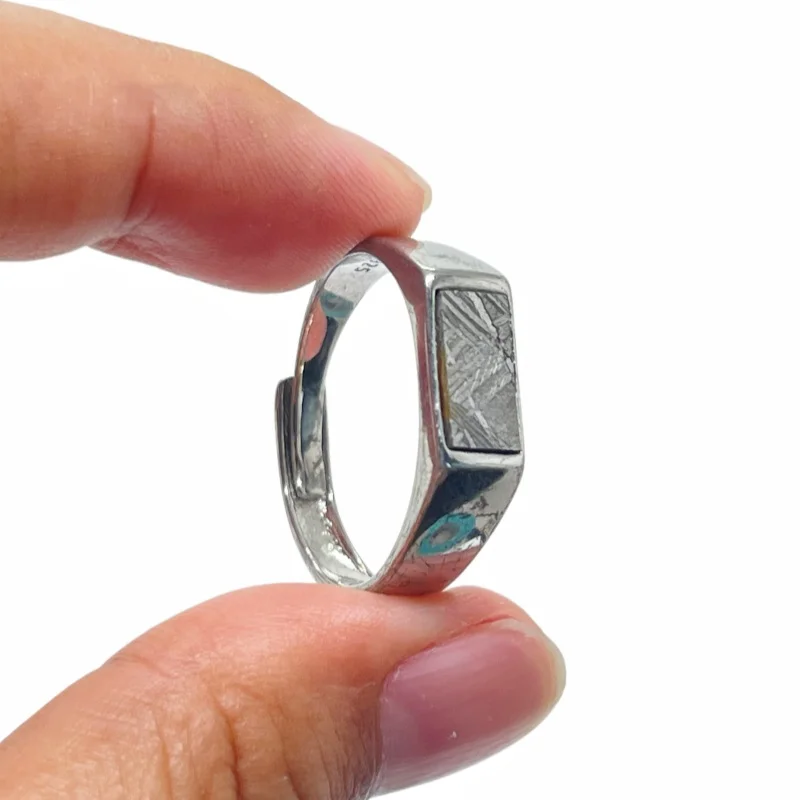 Muonionalusta Meteorite Series Handcrafted Adjustable Inlaid Ring Natural Meteorite Slab Mineral Specimen Jewelry Gift - K43