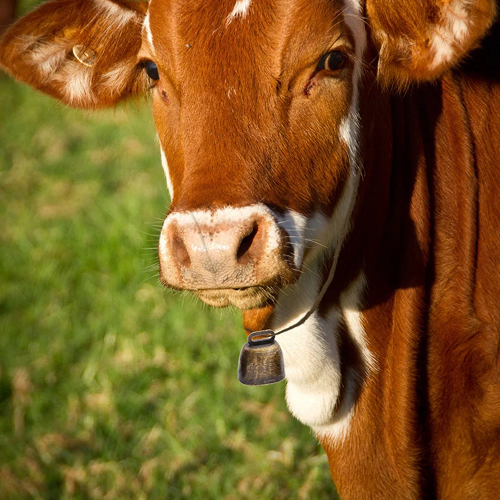 

1Set Metal Cattle Bells Sheep Pet Antilost Decorative Pendants Crisp Sound Alarm Durable Craftsmanship