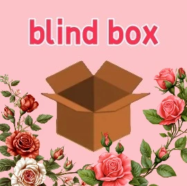 Randm Surprise Blind Box Series Blind Box, Uroczy Pluszowy Brelok z Winylową Lalką, Prezent Niespodzianka dla Zakochanych