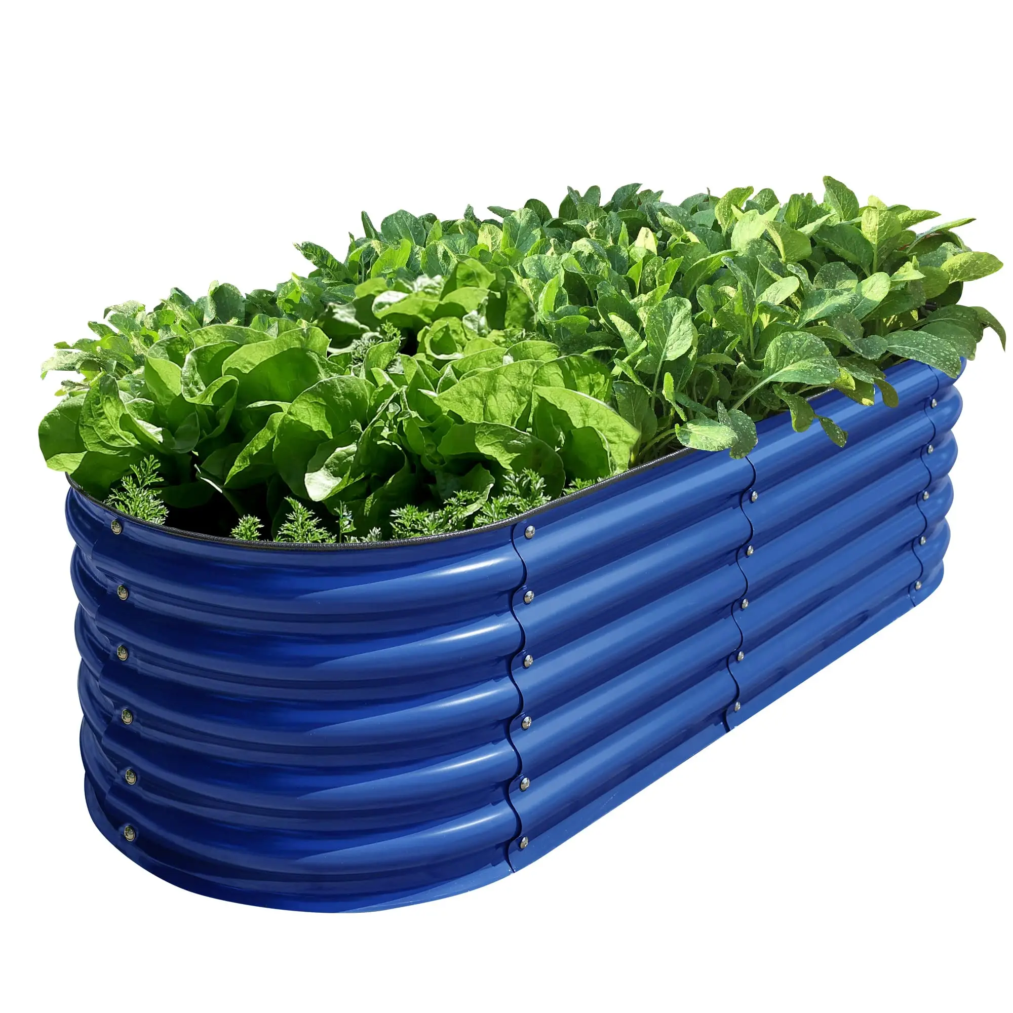 Galvanized Raised Garden Beds, 12-in-1 Metal Outdoor Plant Boxes for Vegetables, Cobalt Blue 17