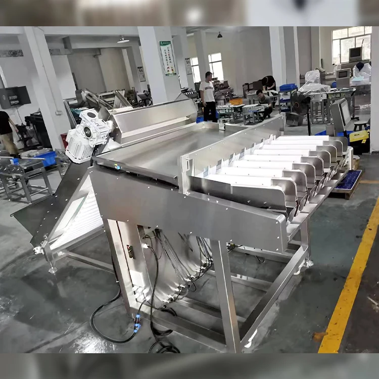 Máquina de embalagem e pesagem de classificação de mirtilo totalmente automática para venda