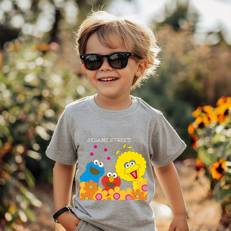 Sesame Street Printed Kids T-shirt Summer Children's Cotton Short Sleeve Suitable for Boys and Girls Gray Casual Tops