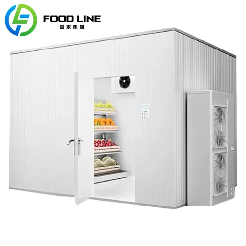 

Heavy Duty Walk In Blast Freezer Cold Storage for Seafood with Commercial Grade Cooling