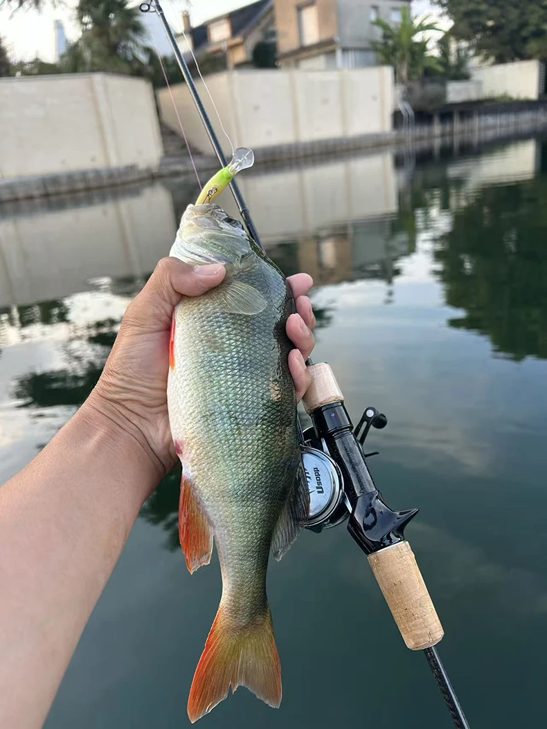 Leydun Neue Lysop-Baitcasting-Angelrollen, 125 g, ultraleicht, 7,6:1, Übersetzungsverhältnis 4,5 kg, Drag-Power-Köderwurfrolle, Baitcaster Tackle – Detail 2